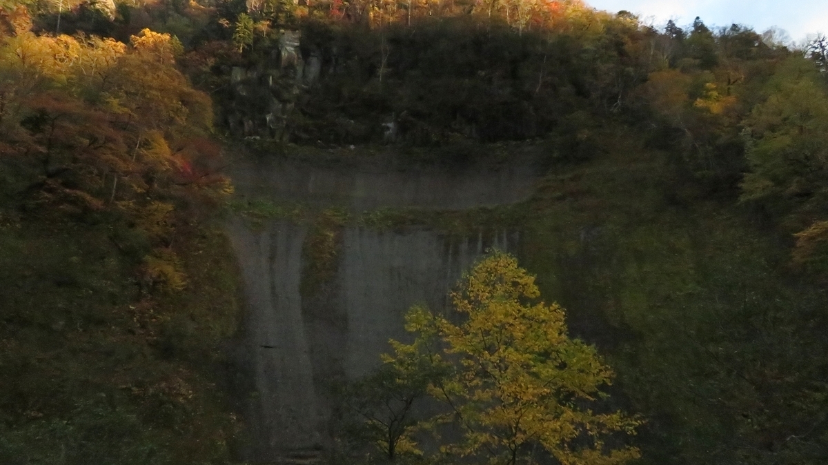 f:id:shirokumapanda:20201211230403j:plain