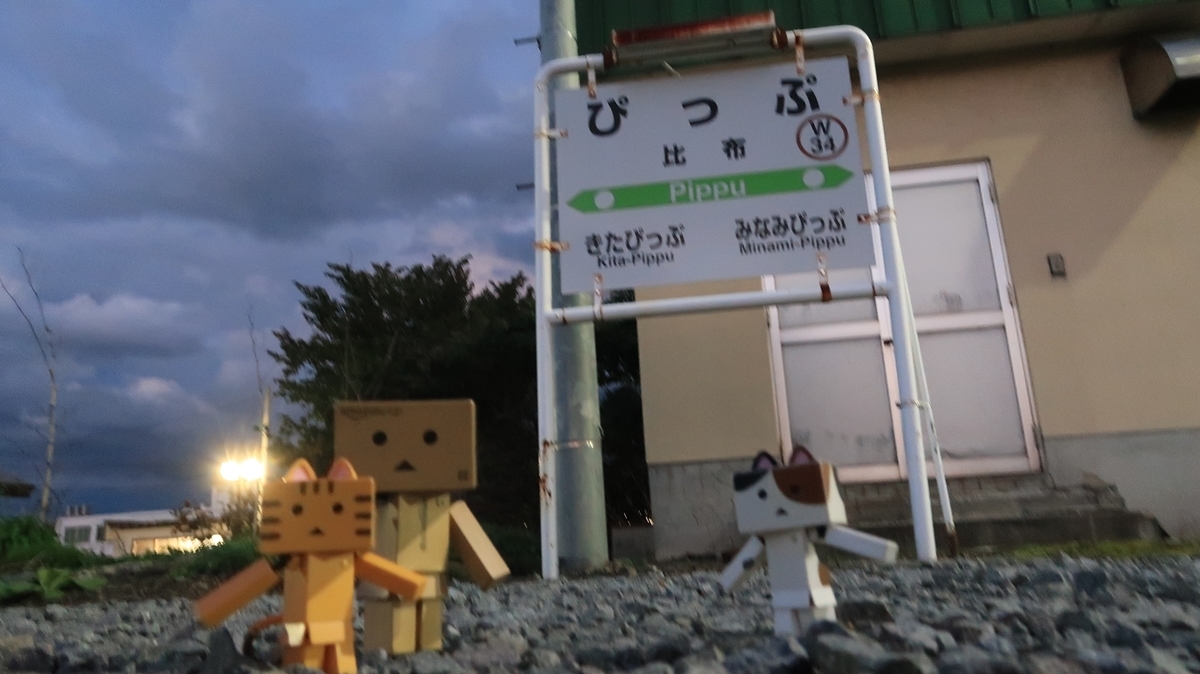 f:id:shirokumapanda:20201214210957j:plain