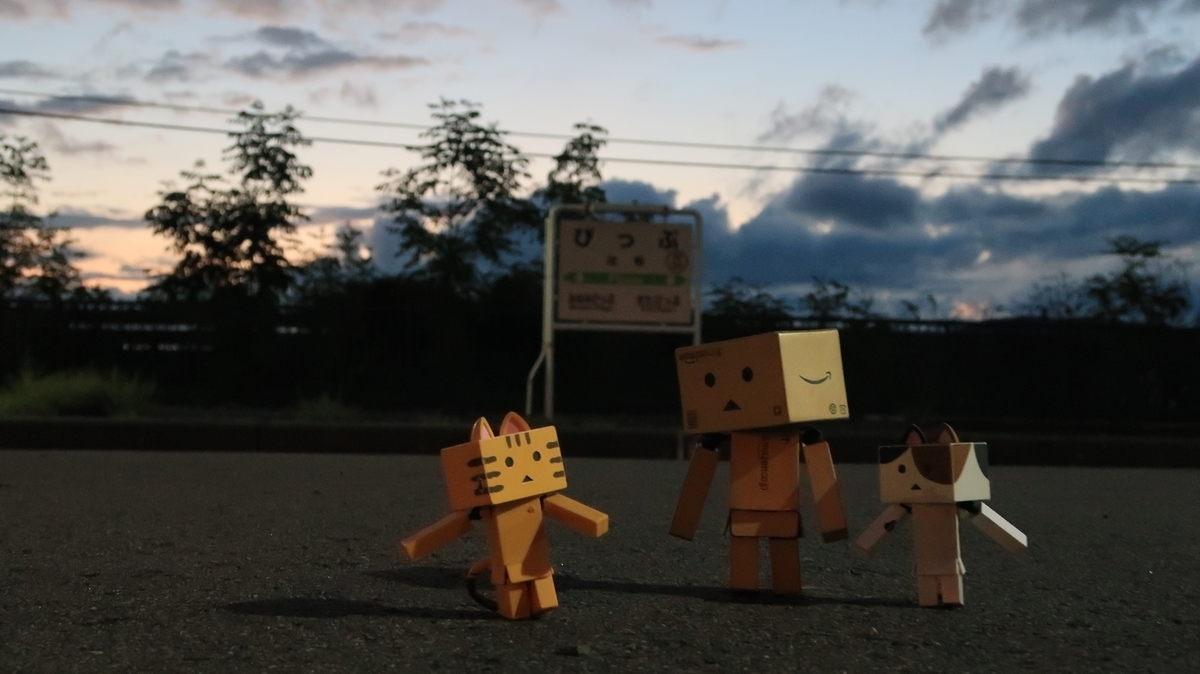 f:id:shirokumapanda:20201214211010j:plain