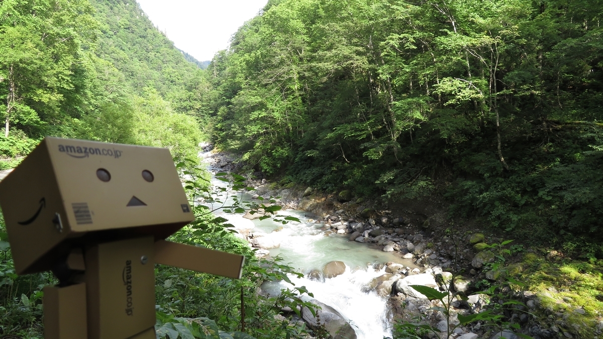 f:id:shirokumapanda:20201215225754j:plain
