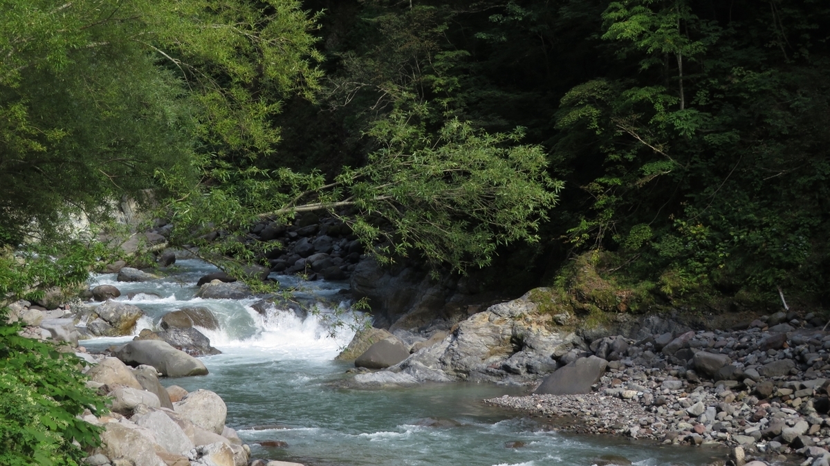 f:id:shirokumapanda:20201215225818j:plain