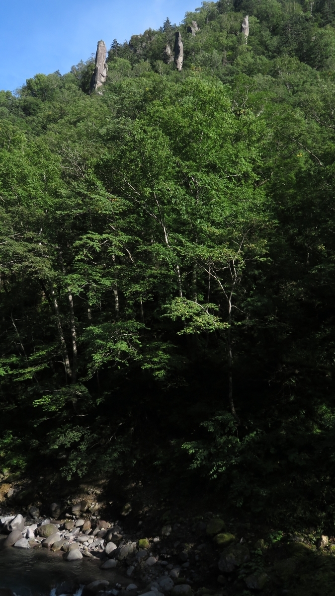f:id:shirokumapanda:20201215225908j:plain