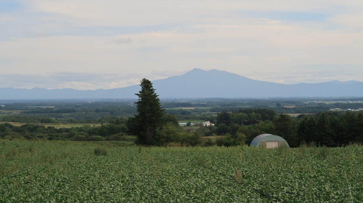 f:id:shirokumapanda:20201218232832j:plain