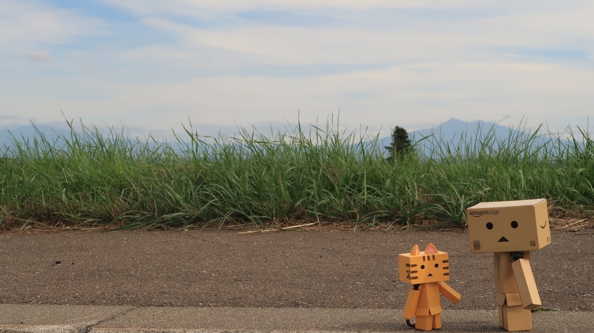 f:id:shirokumapanda:20201218232916j:plain