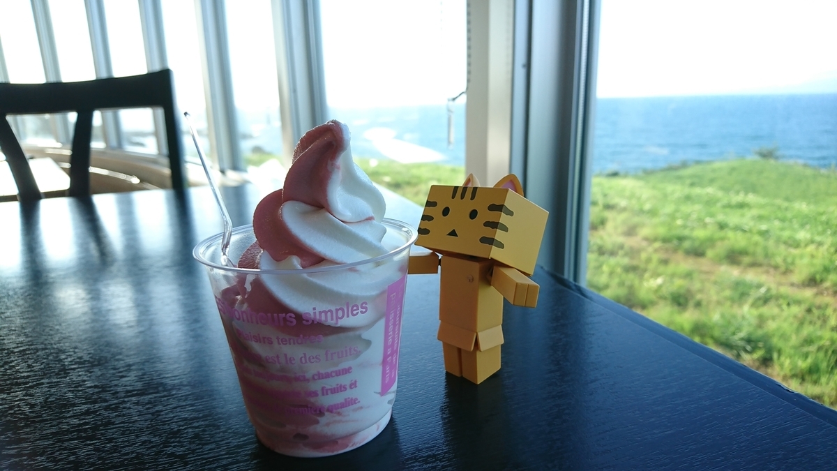 f:id:shirokumapanda:20201221230856j:plain