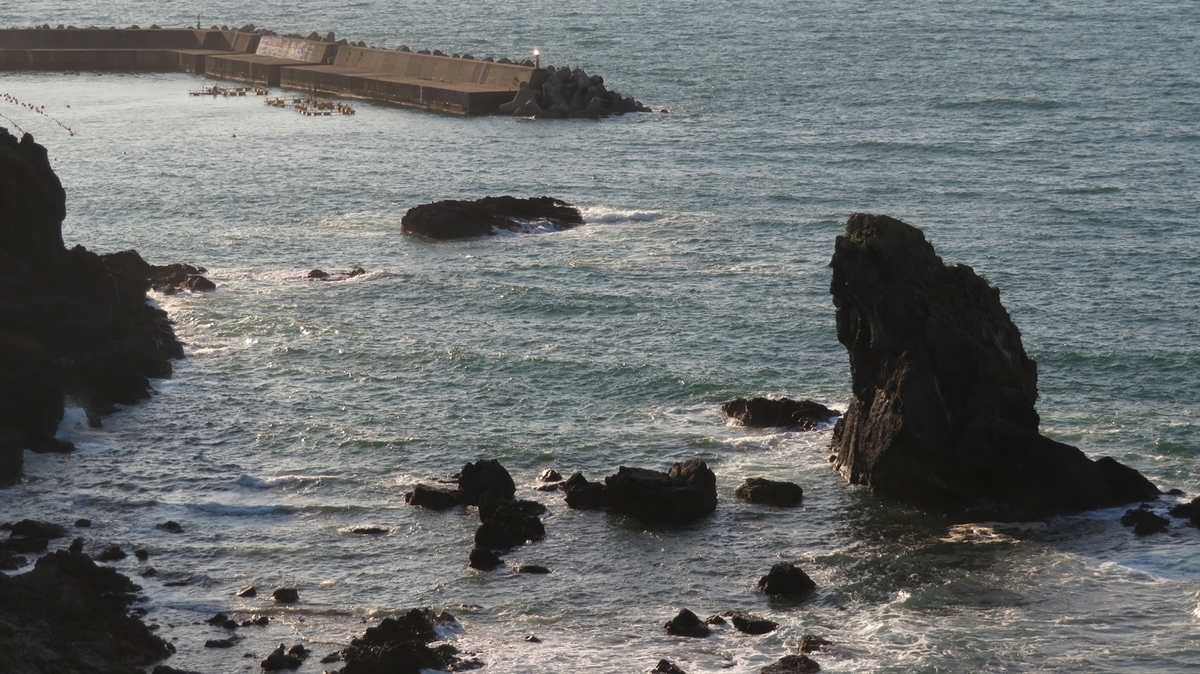 f:id:shirokumapanda:20201221230925j:plain