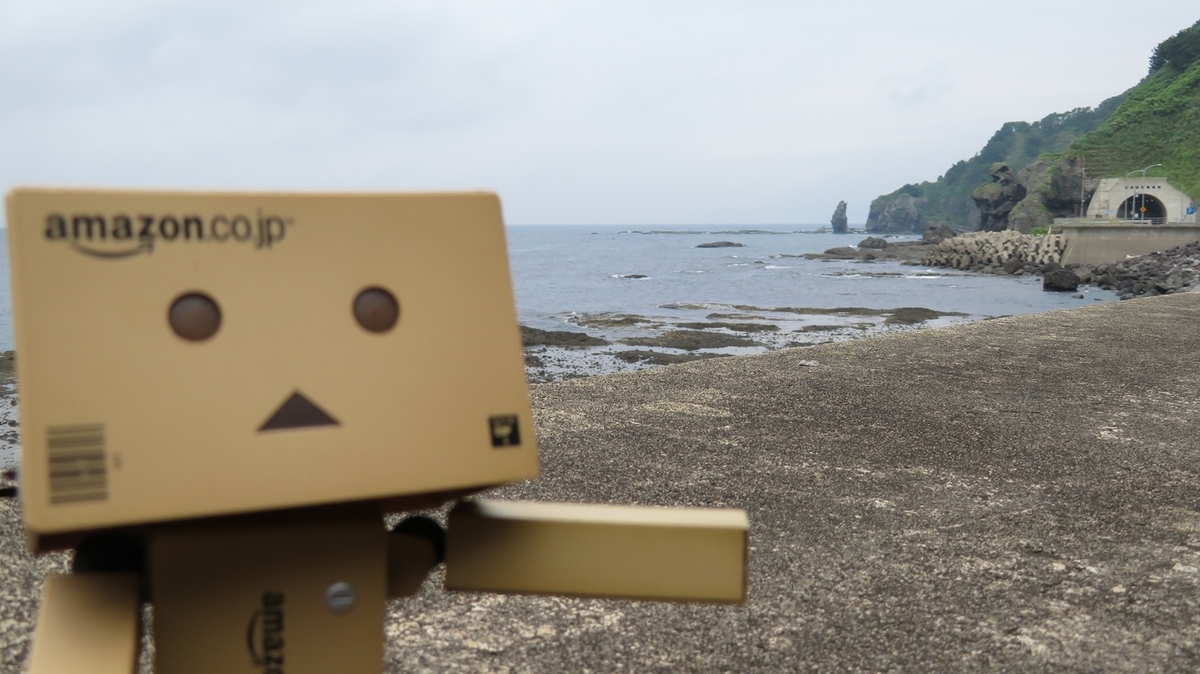 f:id:shirokumapanda:20201229005316j:plain