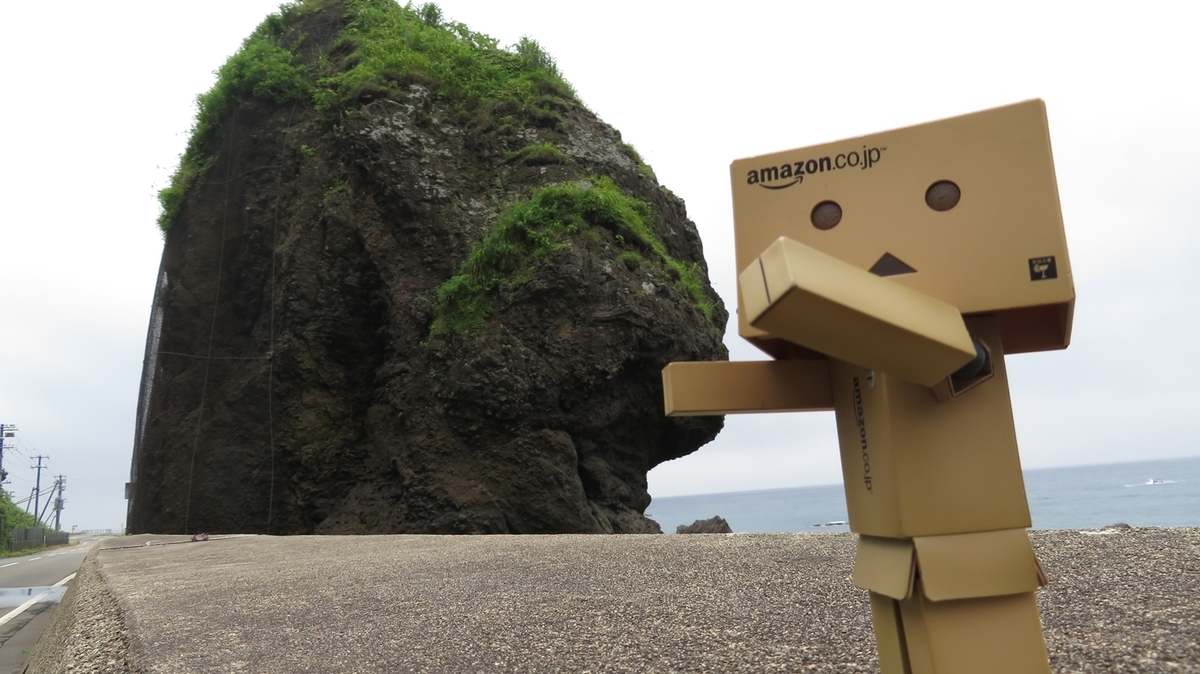 f:id:shirokumapanda:20201229005323j:plain
