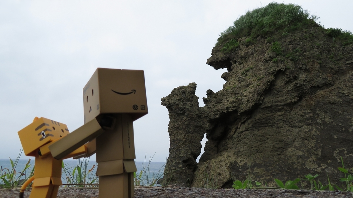f:id:shirokumapanda:20201229005335j:plain