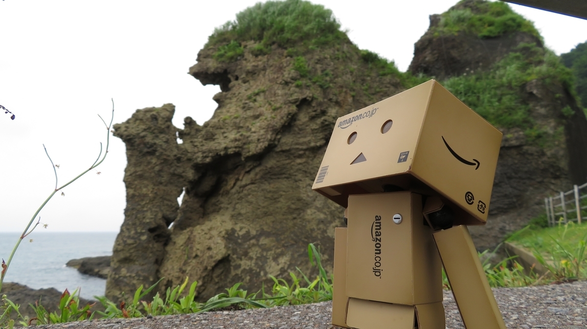 f:id:shirokumapanda:20201229005340j:plain