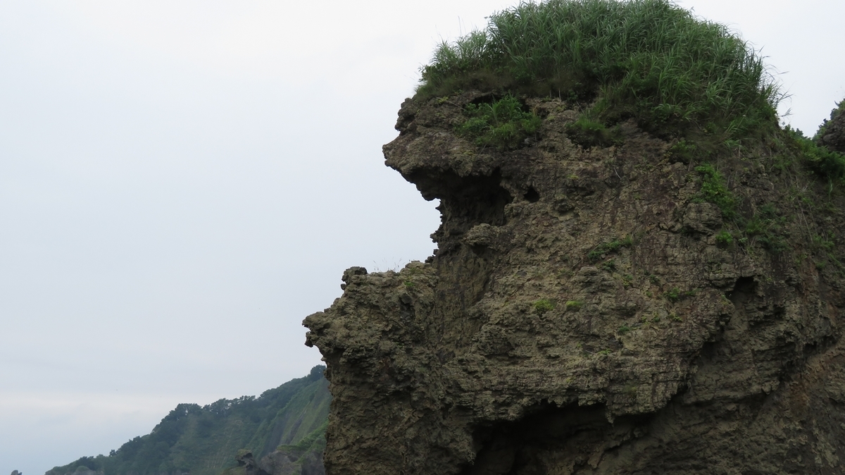 f:id:shirokumapanda:20201229005346j:plain