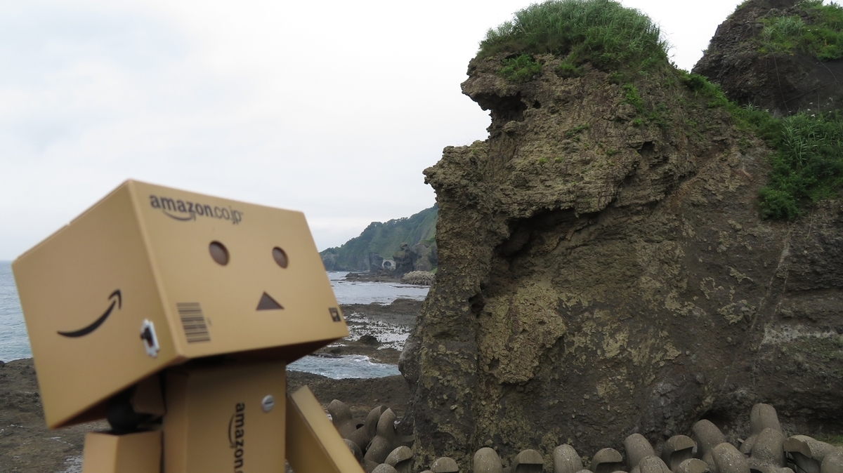 f:id:shirokumapanda:20201229005352j:plain