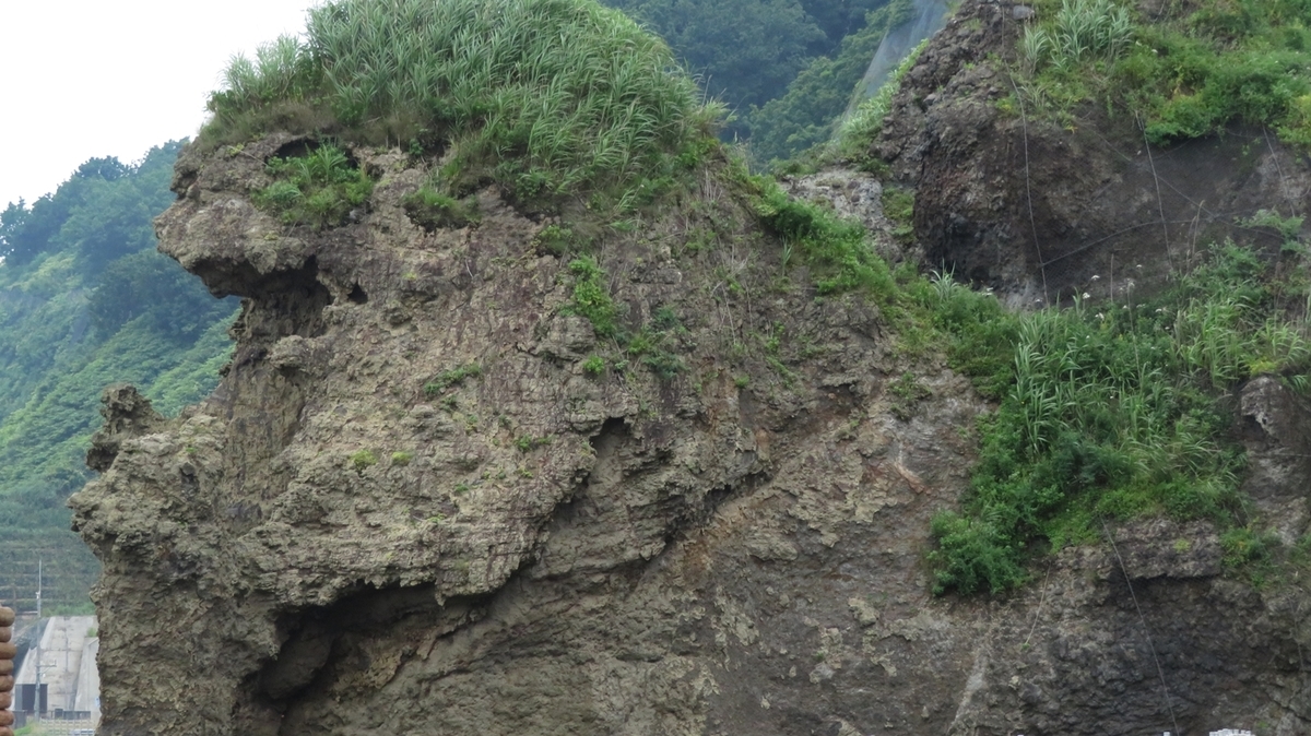f:id:shirokumapanda:20201229005400j:plain