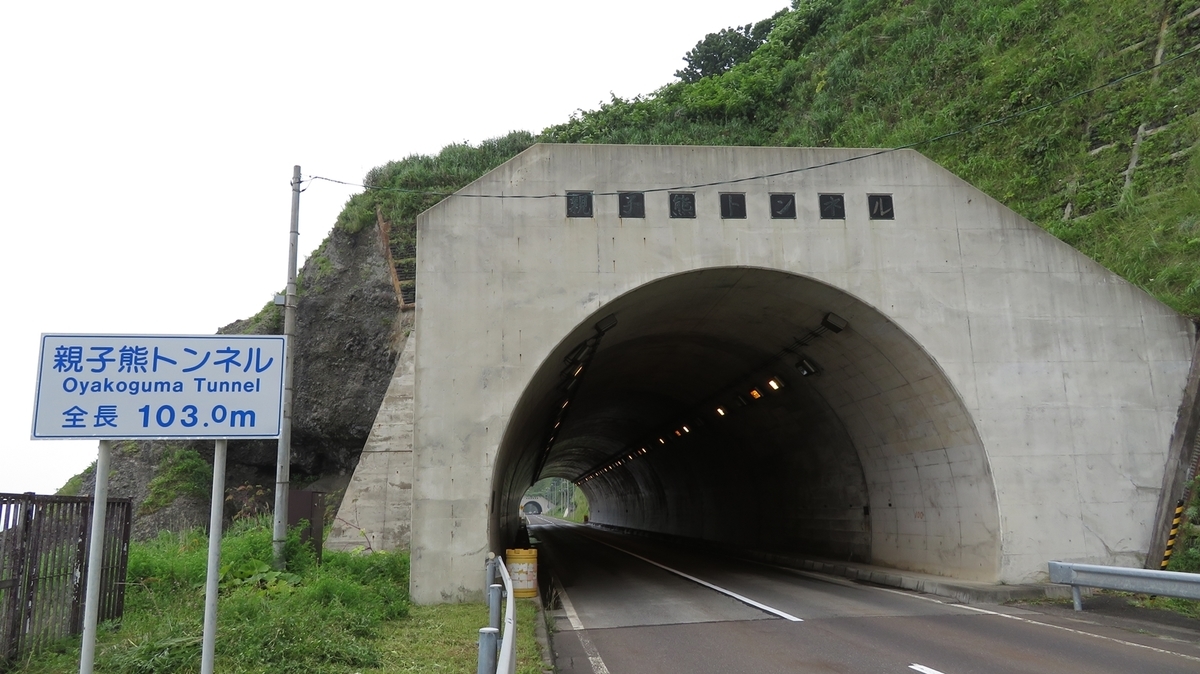 f:id:shirokumapanda:20201229005405j:plain