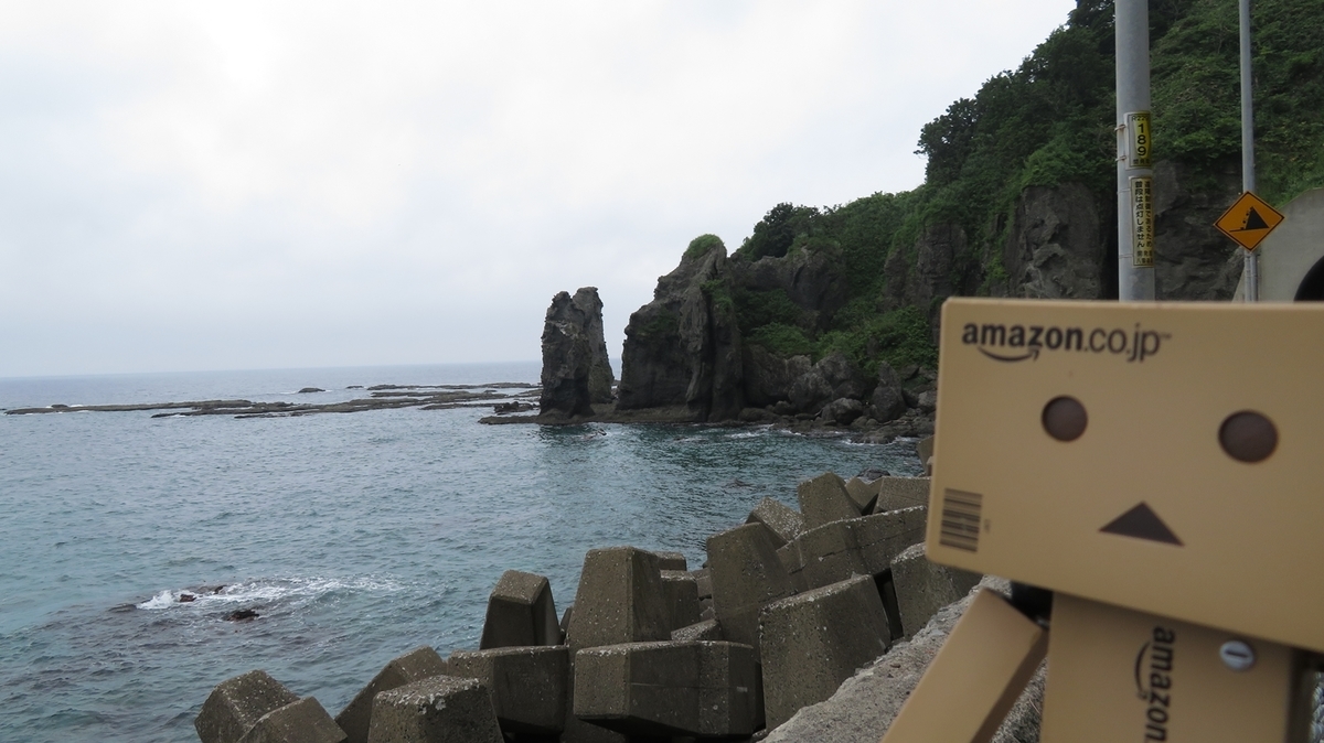 f:id:shirokumapanda:20201229005418j:plain
