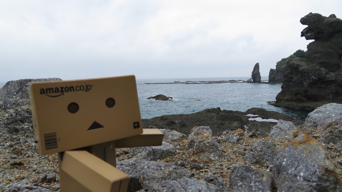 f:id:shirokumapanda:20201229005431j:plain