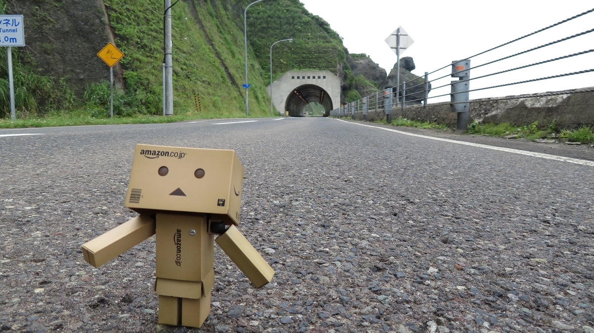 f:id:shirokumapanda:20201229005438j:plain