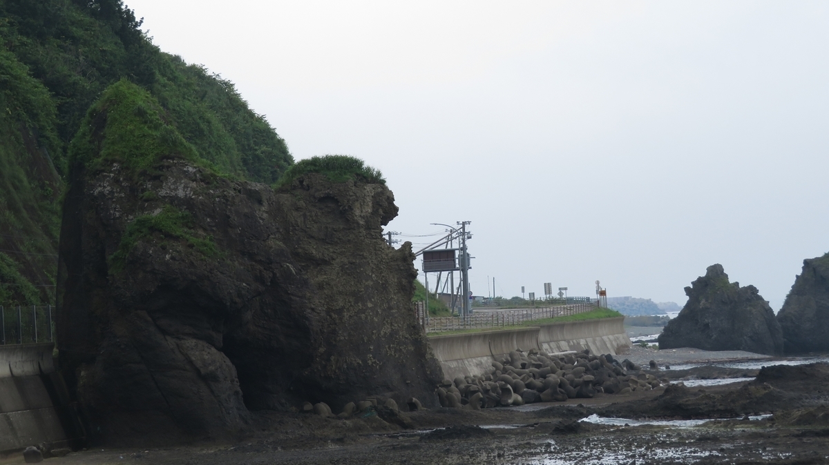 f:id:shirokumapanda:20201229005456j:plain