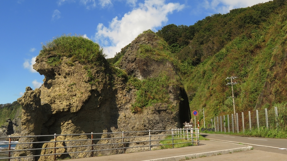 f:id:shirokumapanda:20201229005606j:plain