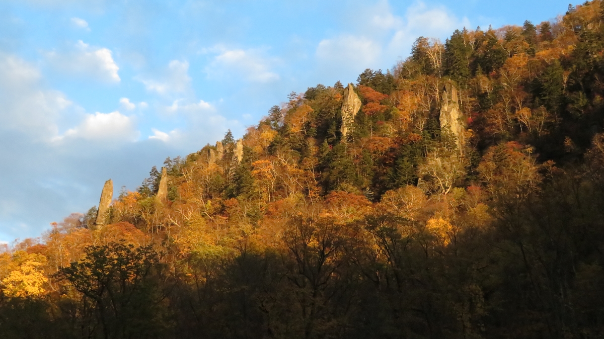 f:id:shirokumapanda:20201230012413j:plain