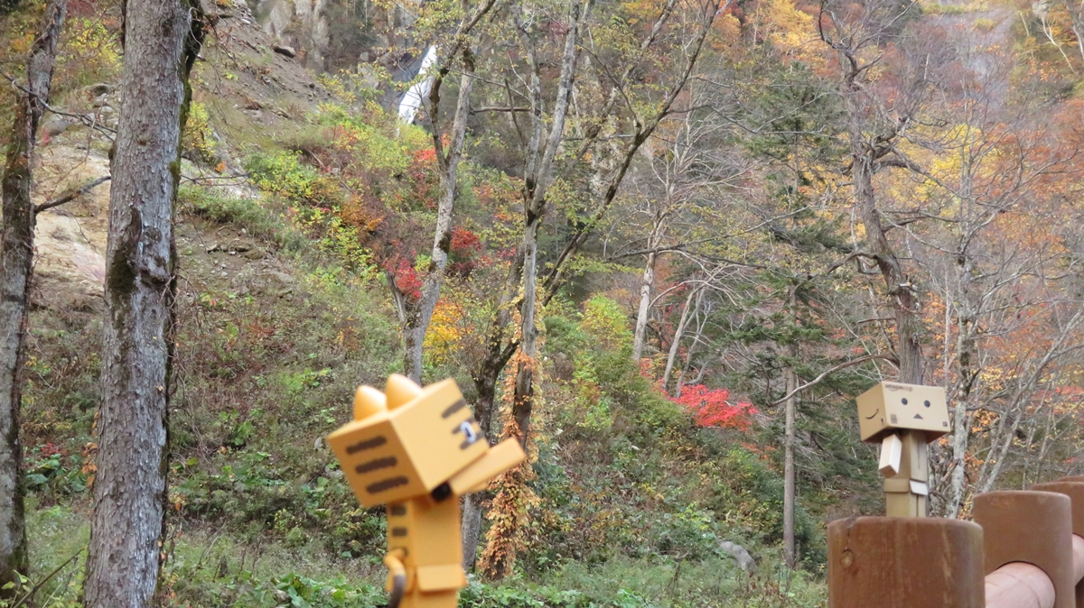 f:id:shirokumapanda:20201230012440j:plain
