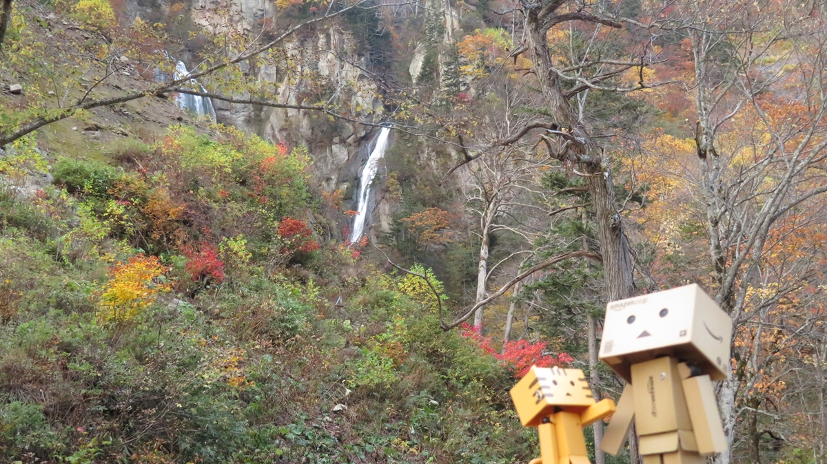 f:id:shirokumapanda:20201230012445j:plain