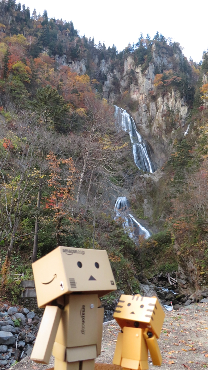 f:id:shirokumapanda:20201230012450j:plain