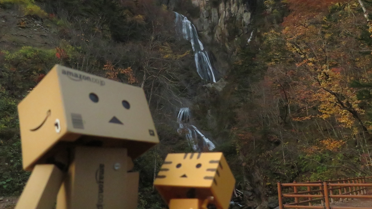 f:id:shirokumapanda:20201230012456j:plain
