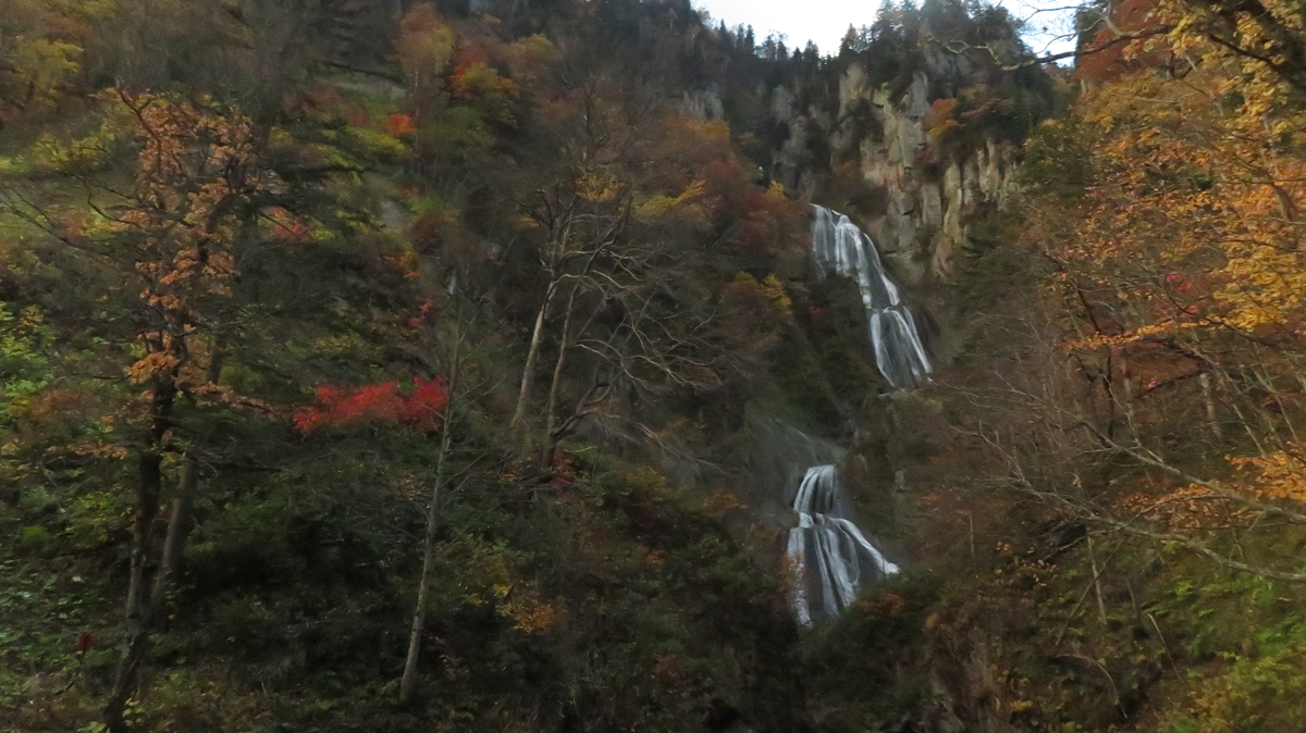 f:id:shirokumapanda:20201230012502j:plain
