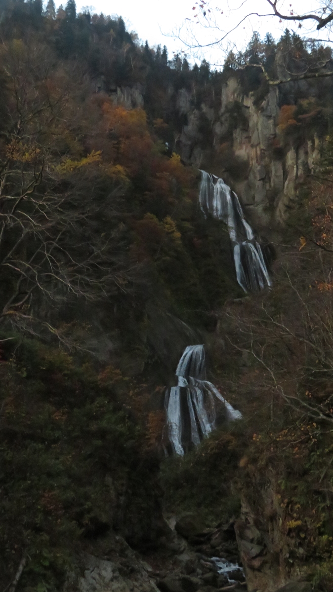 f:id:shirokumapanda:20201230012512j:plain