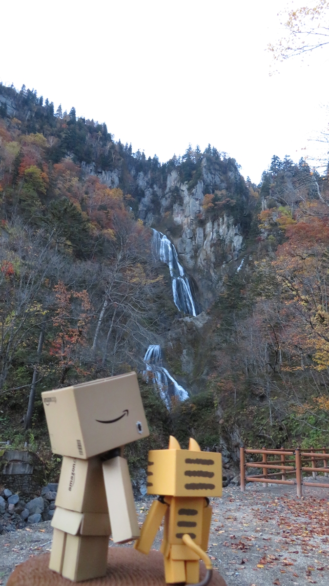 f:id:shirokumapanda:20201230012516j:plain