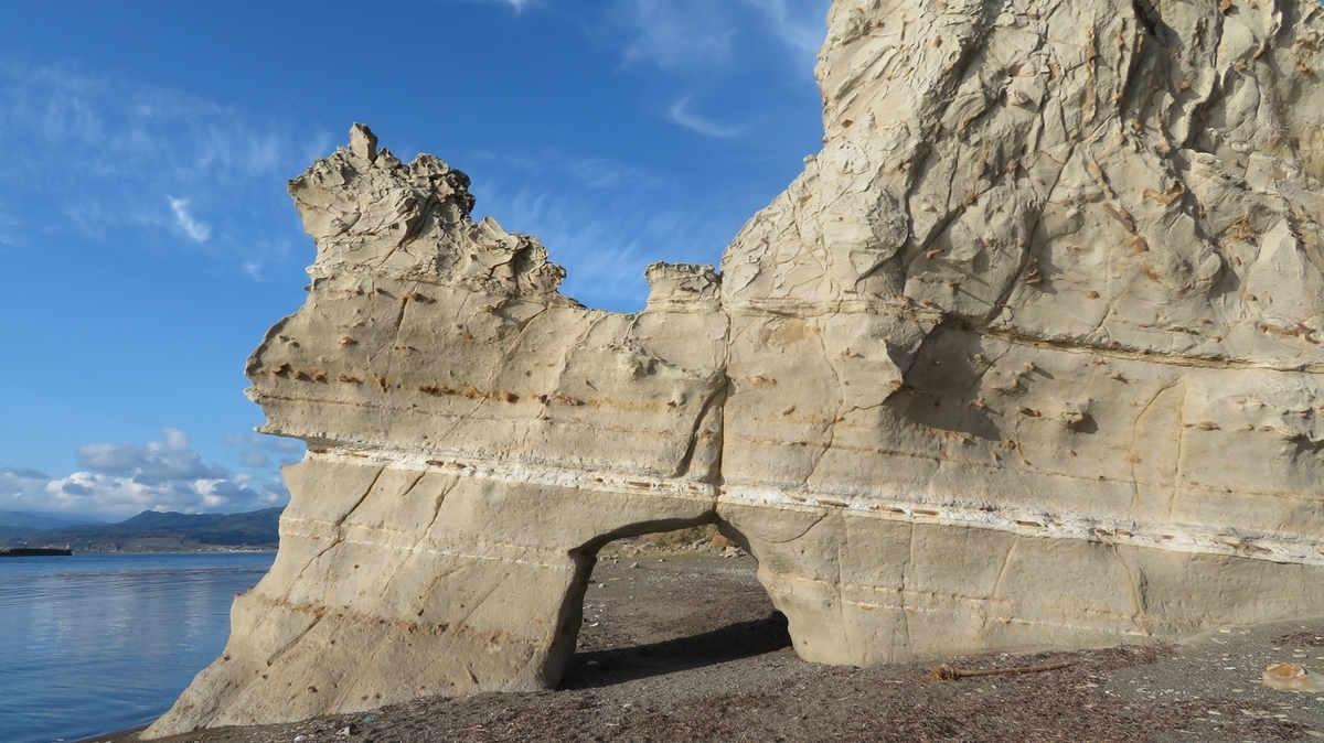 f:id:shirokumapanda:20201231103946j:plain