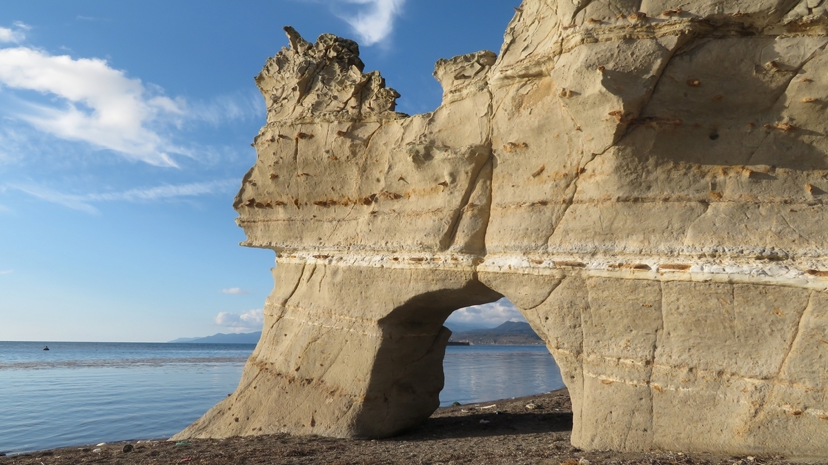 f:id:shirokumapanda:20201231103952j:plain