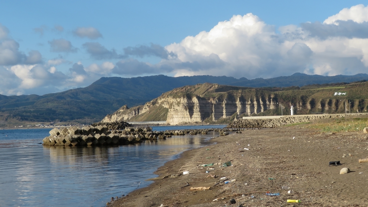 f:id:shirokumapanda:20201231103958j:plain