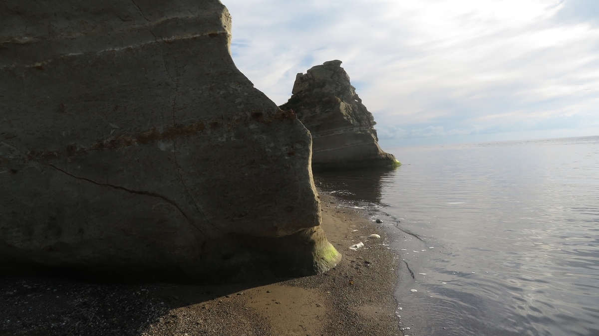 f:id:shirokumapanda:20201231104005j:plain