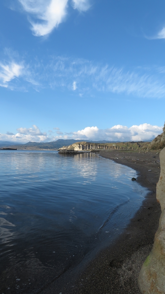 f:id:shirokumapanda:20201231104012j:plain