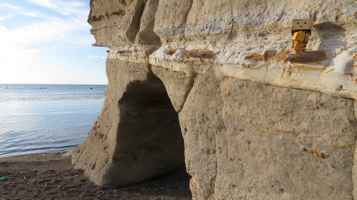 f:id:shirokumapanda:20201231104047j:plain