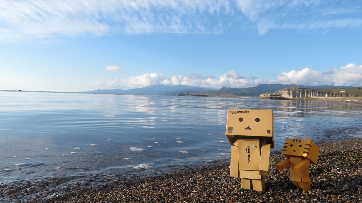 f:id:shirokumapanda:20201231104053j:plain