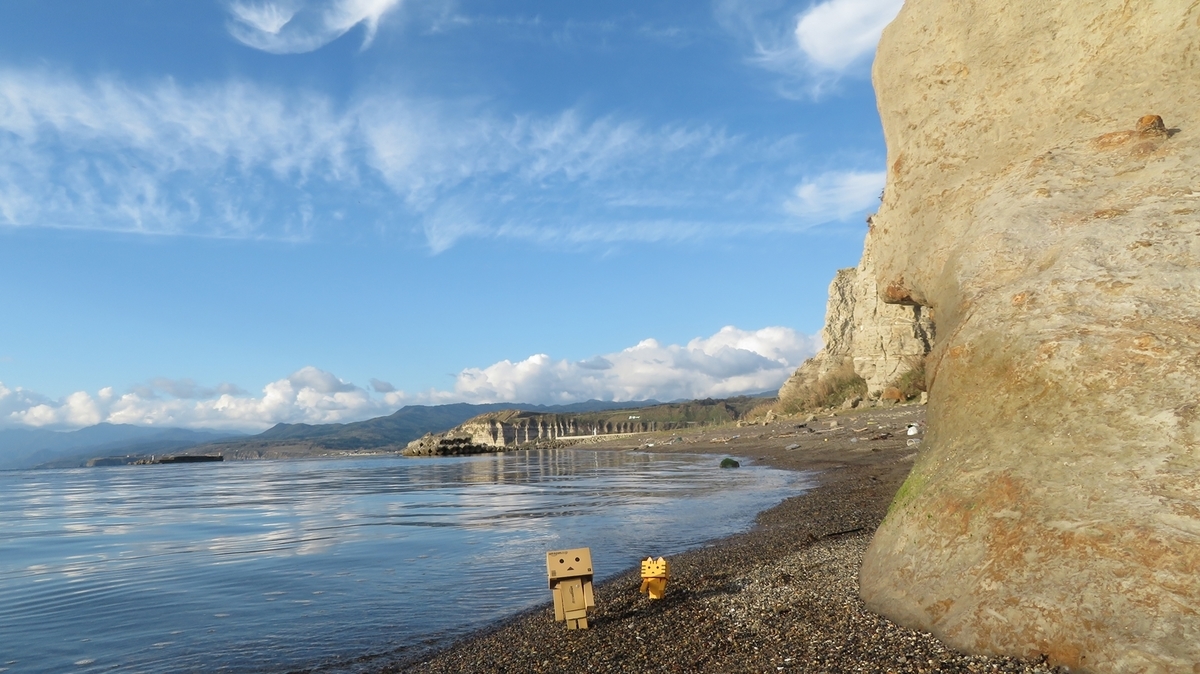 f:id:shirokumapanda:20201231104100j:plain