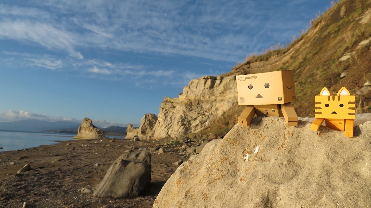 f:id:shirokumapanda:20201231104112j:plain