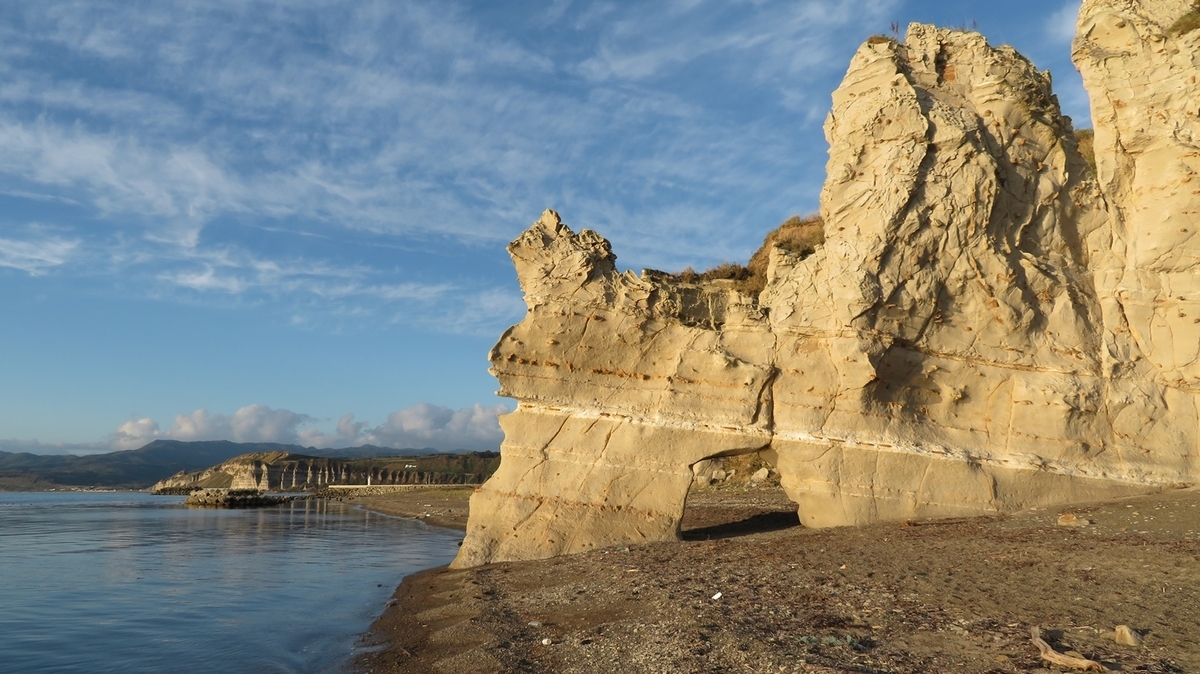 f:id:shirokumapanda:20201231104136j:plain