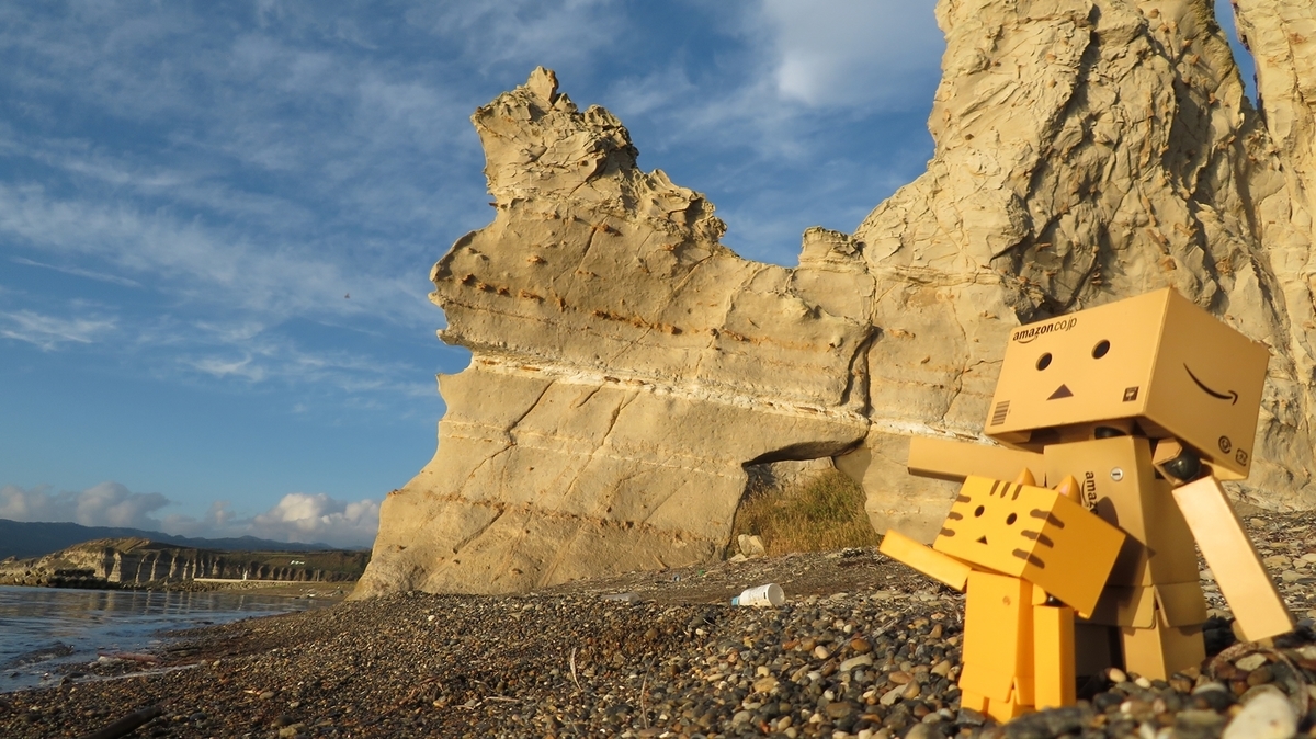 f:id:shirokumapanda:20201231104142j:plain