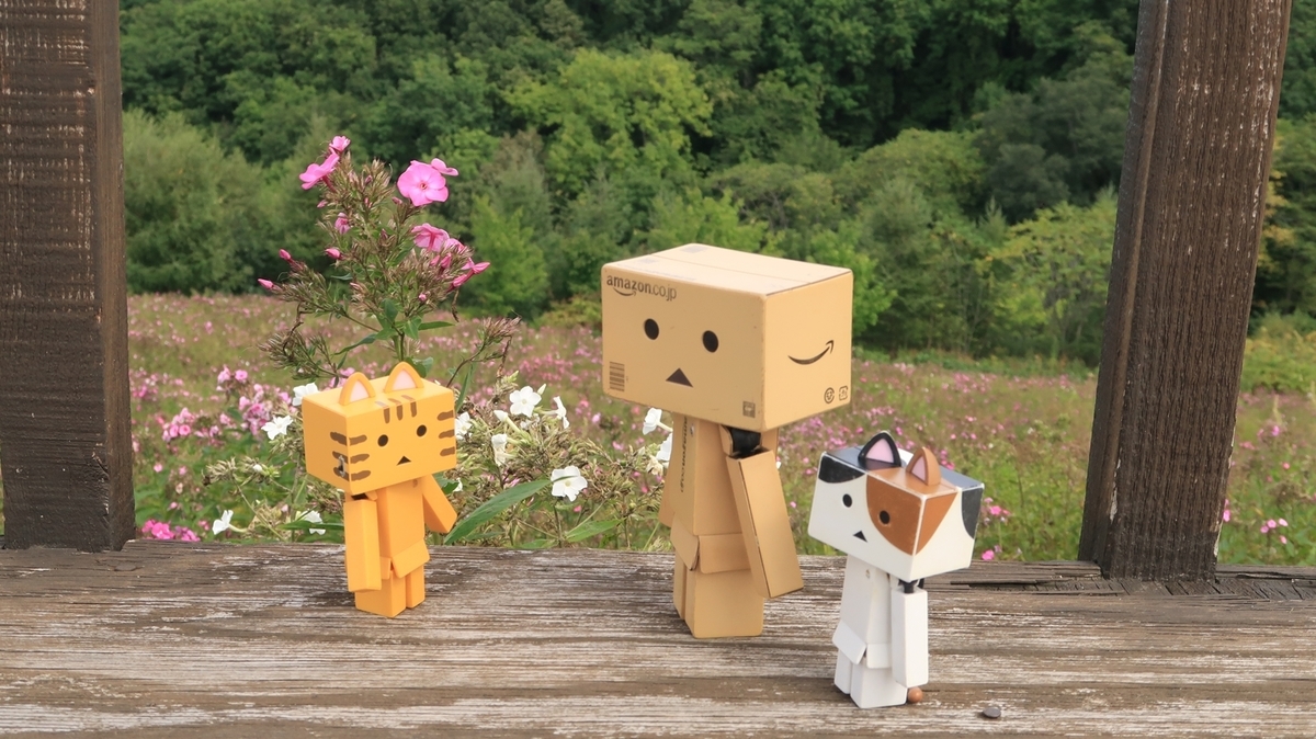 f:id:shirokumapanda:20210107233429j:plain