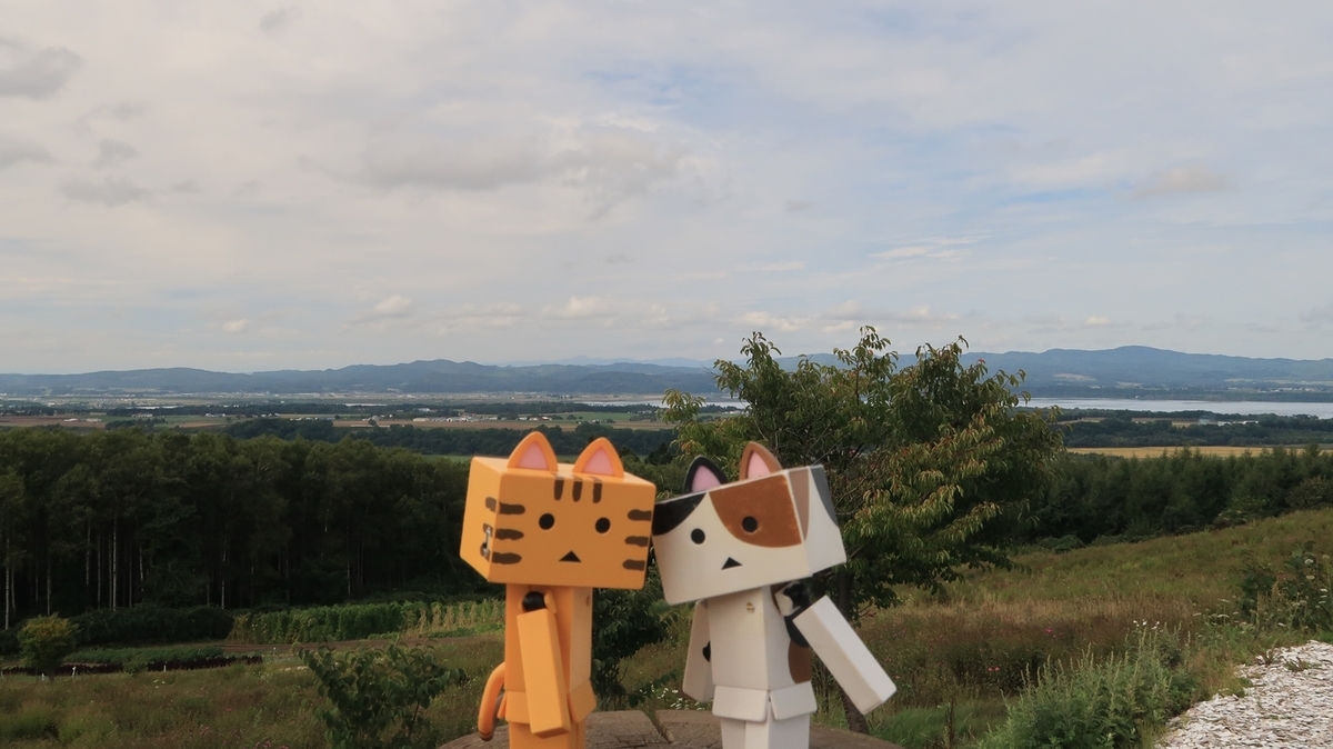 f:id:shirokumapanda:20210107233547j:plain