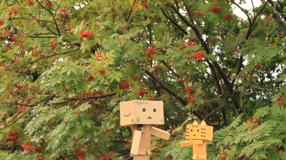 f:id:shirokumapanda:20210110212707j:plain