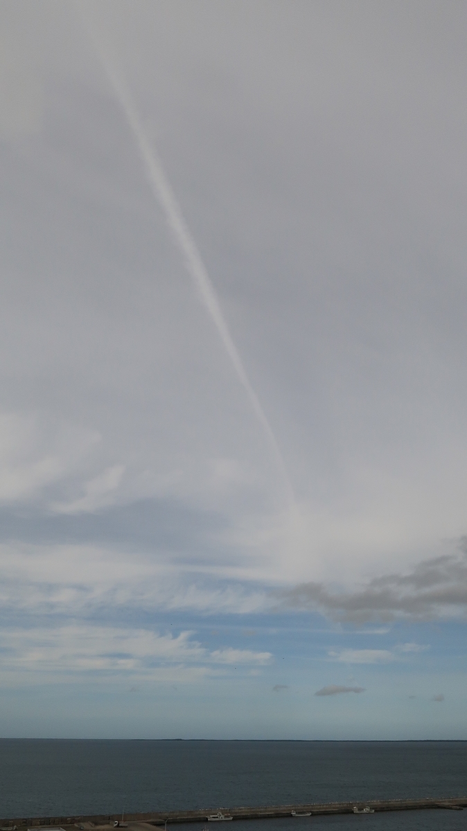 f:id:shirokumapanda:20210110212713j:plain