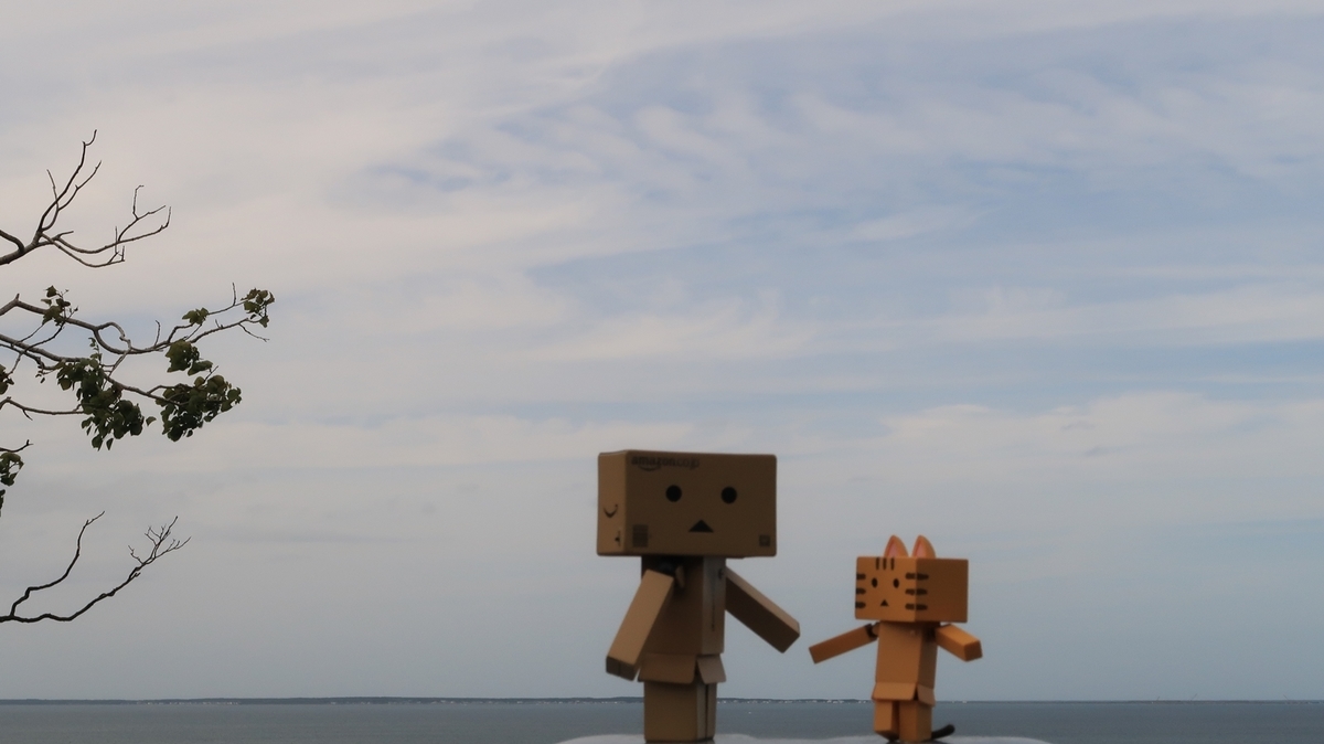 f:id:shirokumapanda:20210110212719j:plain