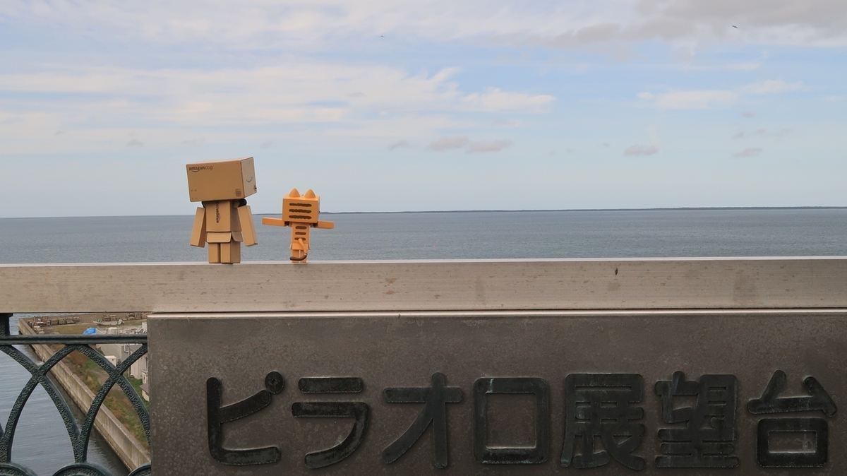 f:id:shirokumapanda:20210110212739j:plain