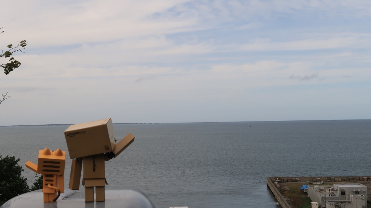 f:id:shirokumapanda:20210110212745j:plain