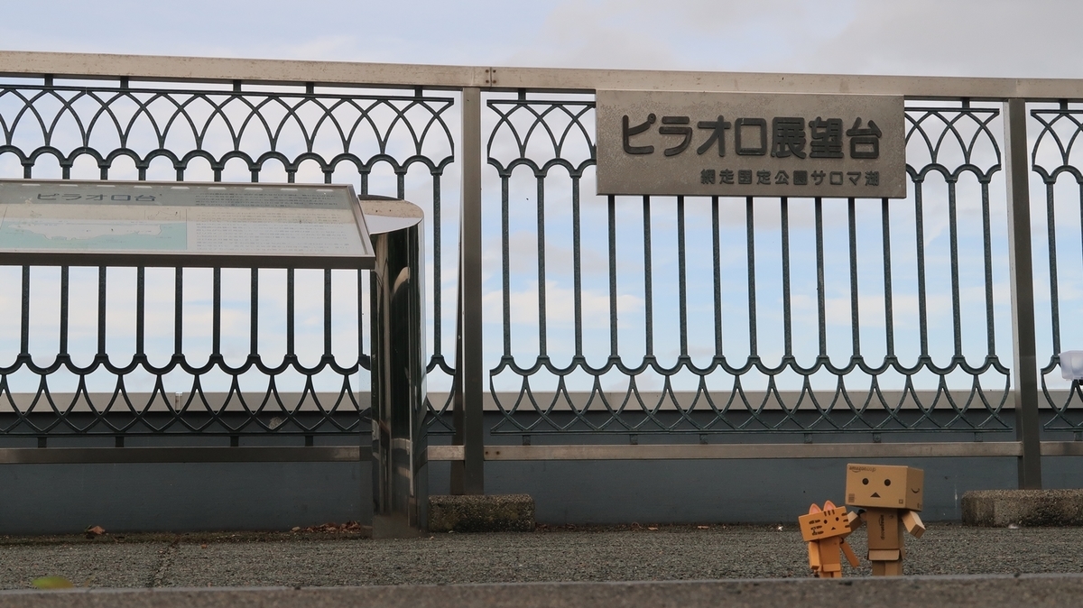 f:id:shirokumapanda:20210110212751j:plain